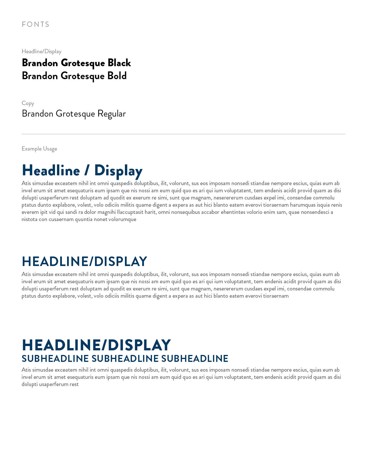 CI Brand Guide5